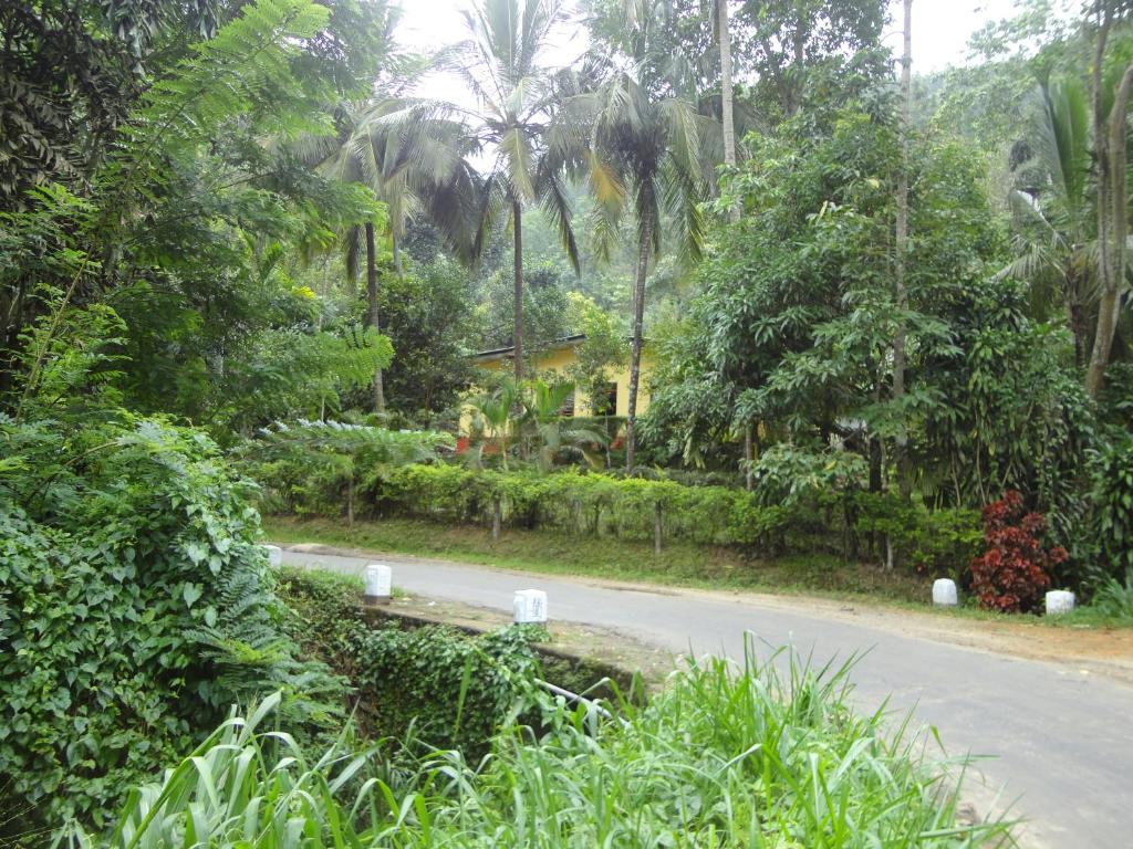 Sembuwatta Reach Homestay photo 2