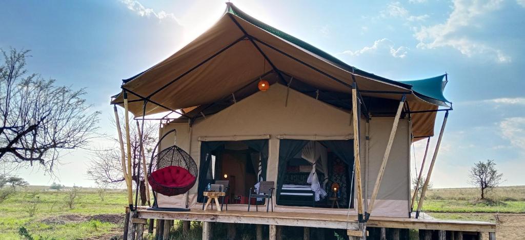 Taste Of Serengeti Luxury Safari Camp