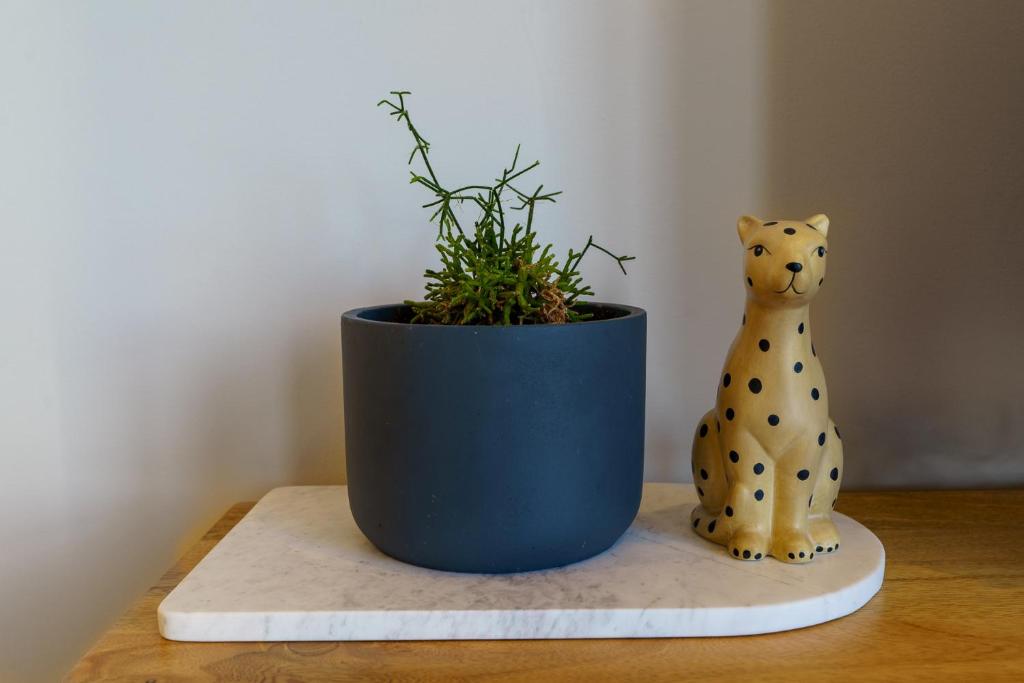 Modern Comfort in Canberra's City Center - Hosted by Canstay - Tap to explore photos