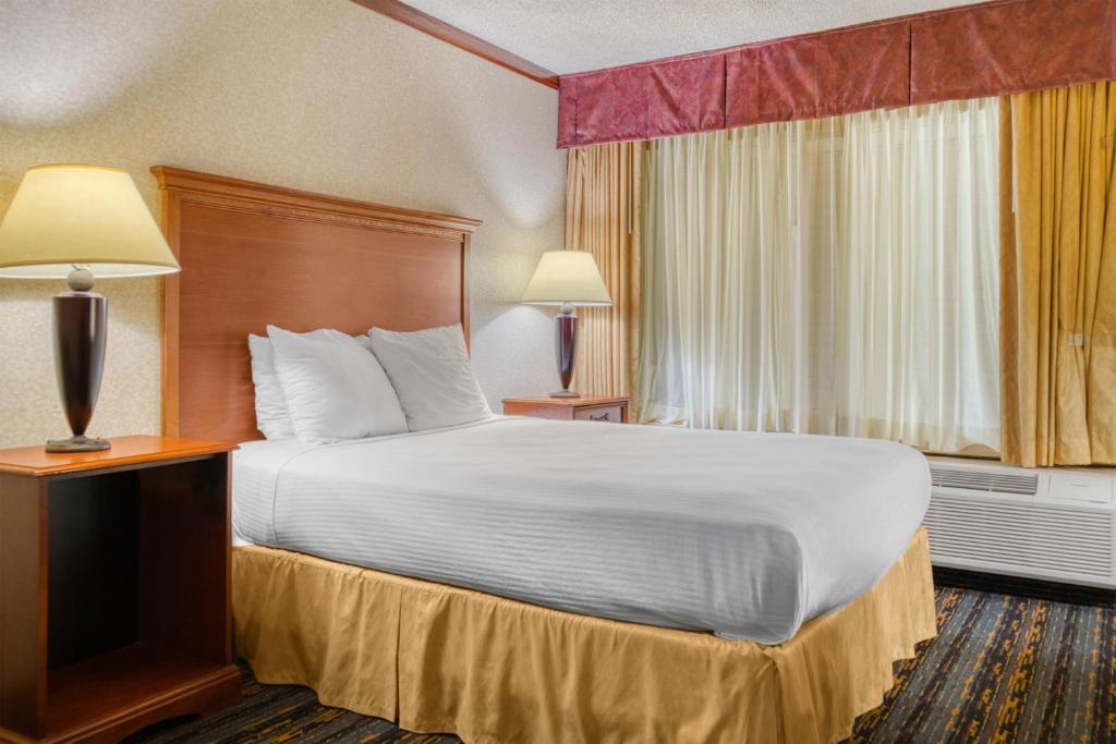 Best Western Fairfax Room Type - Double Room - Non-Smoking 