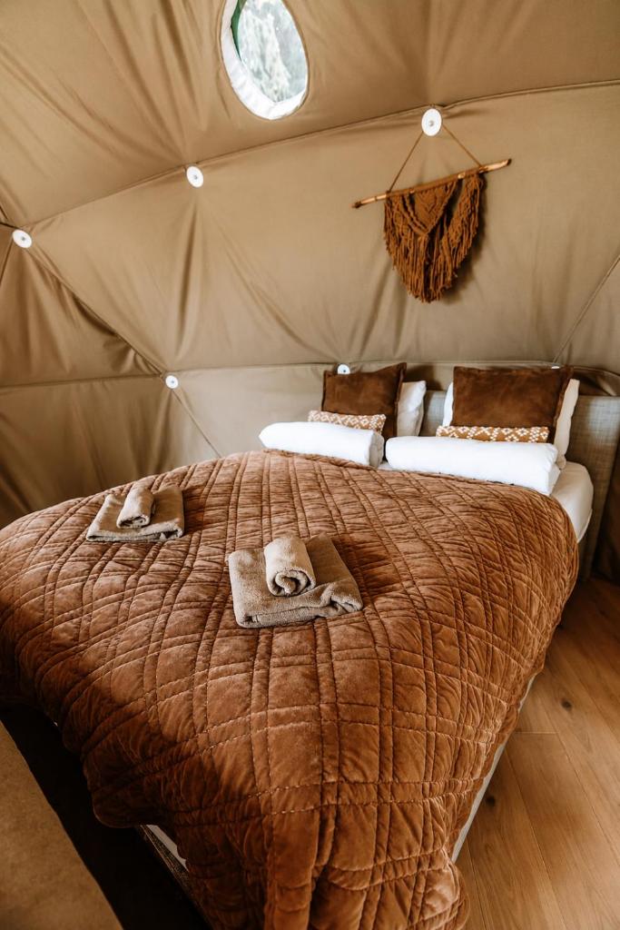 WonderInn Riverside Room Type - Luxury Tent Nest