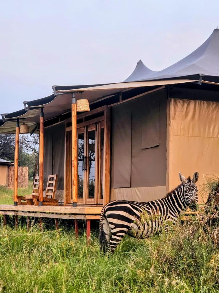 Naisula Serengeti Camp