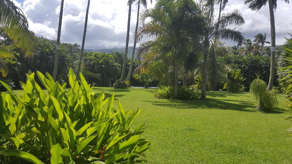 Villa ManaOra photo 3