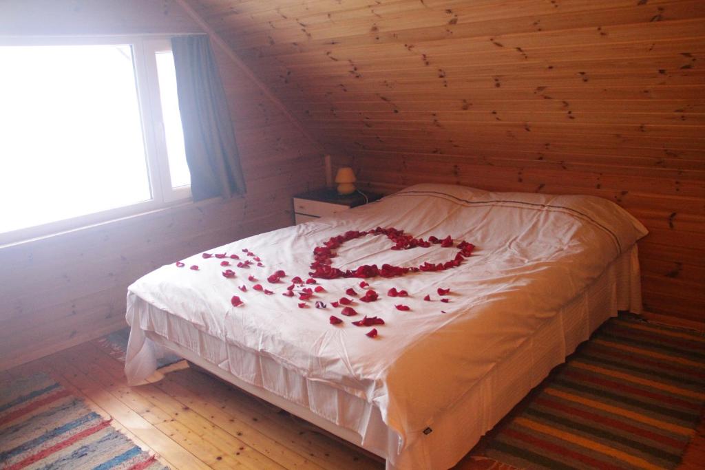Kapteni Holiday House photo 4