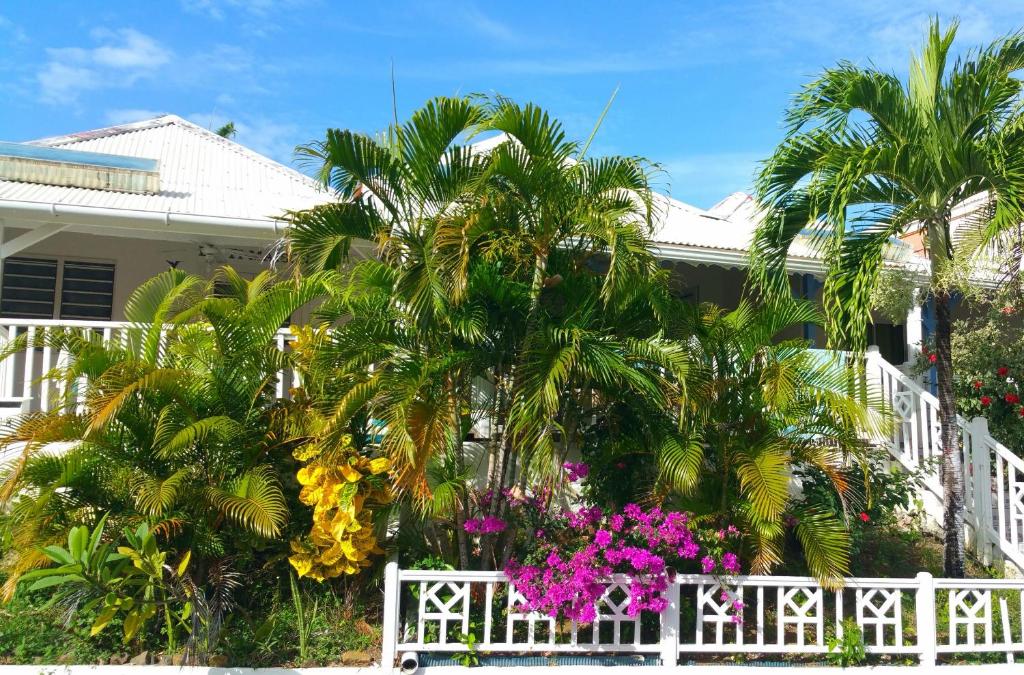 Antilles Liberte photo 1