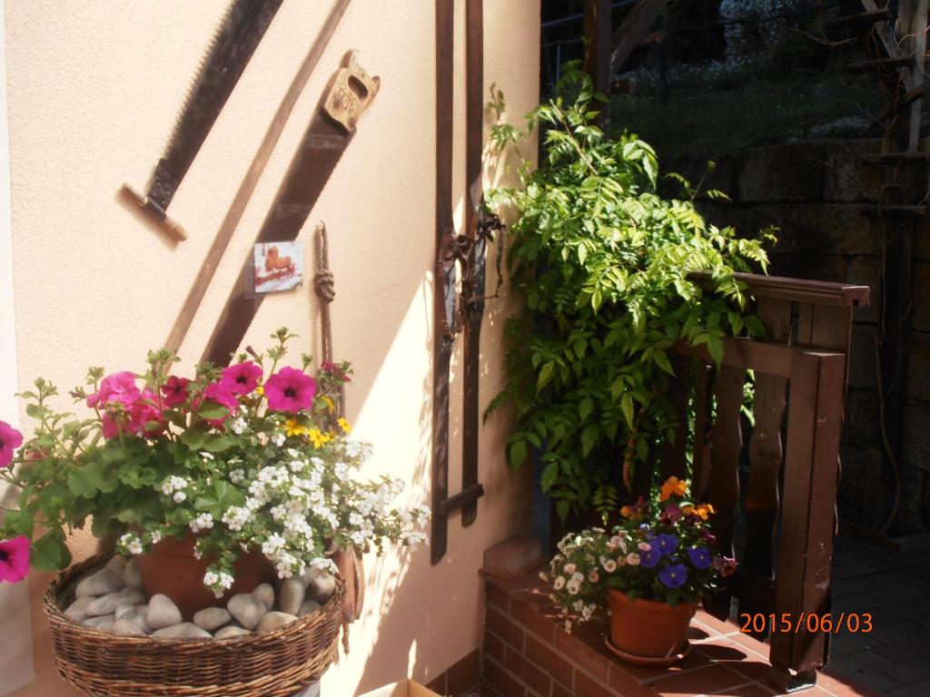 Ferienwohnungen "Gründelrast" photo 4