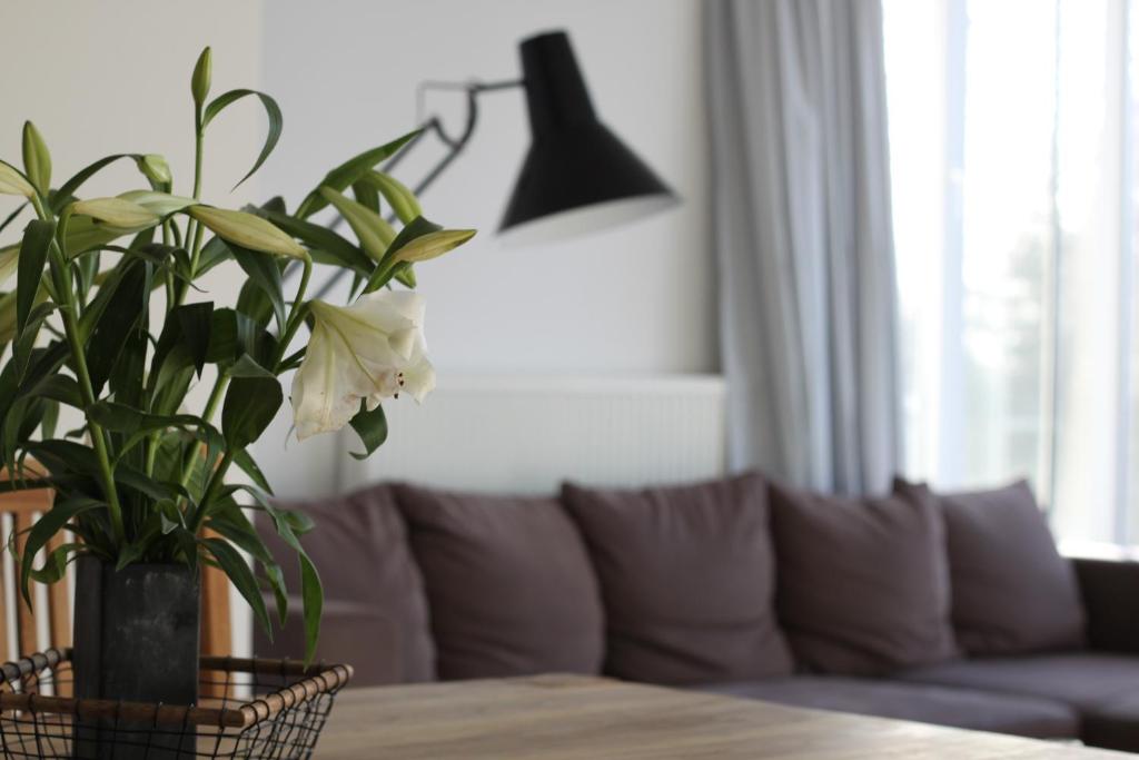 Sommerloft Rerik photo 3