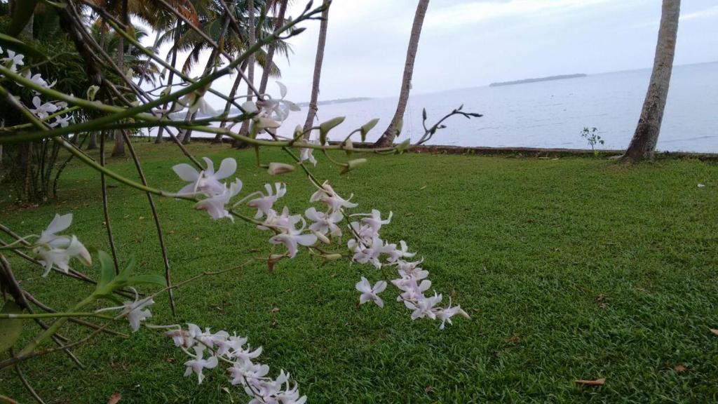 Vembanad House Boutique Back Water Retreat photo 2