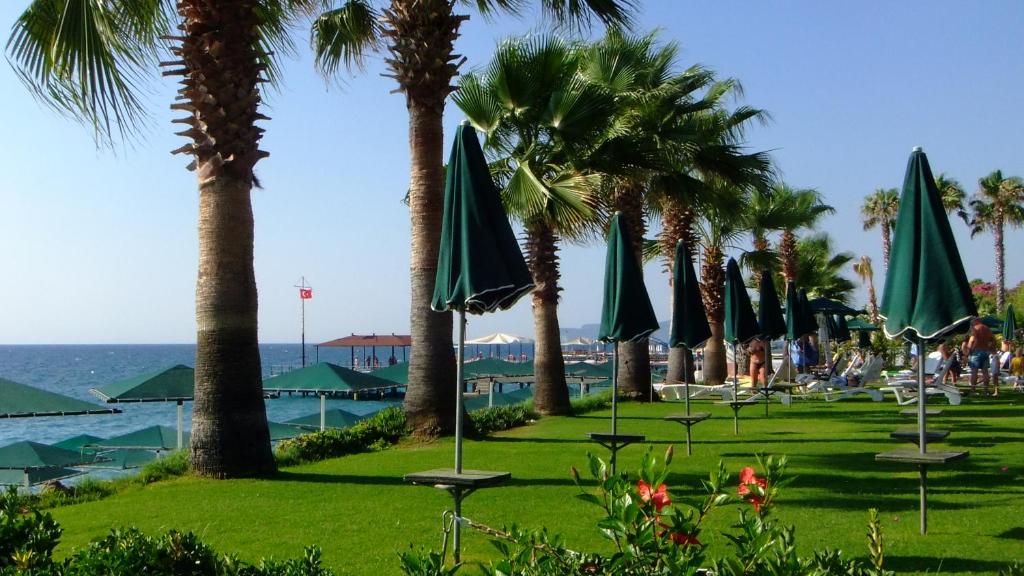 Seagull Hotel photo 1