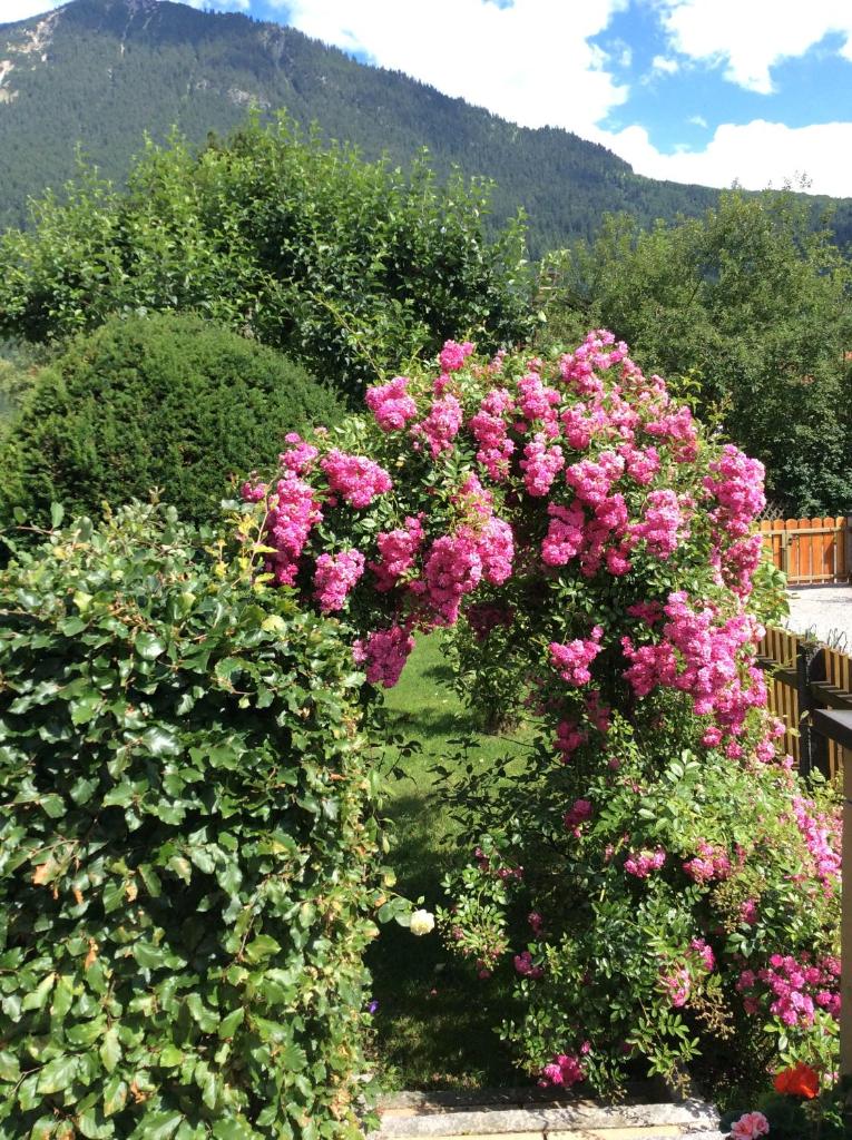 Bergblick photo 1