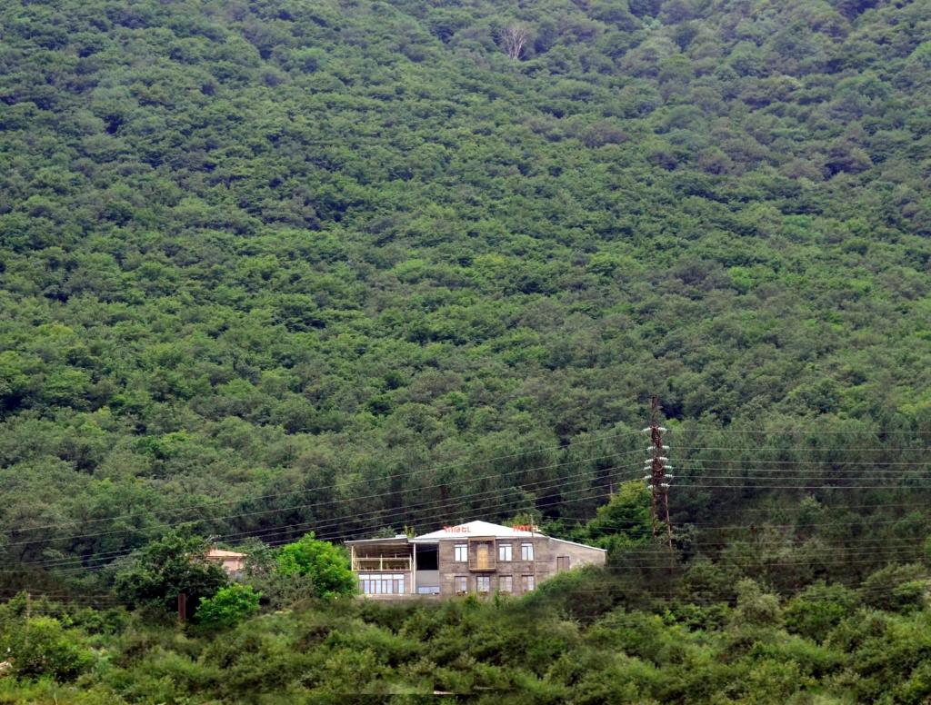 Yeghevnut Hotel photo 2