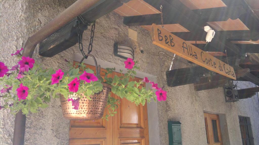 Alla Corte di Carla photo 2