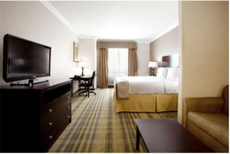 Holiday Inn Express & Suites - CUT OFF GALLIANO, an IHG Hotel photo 2