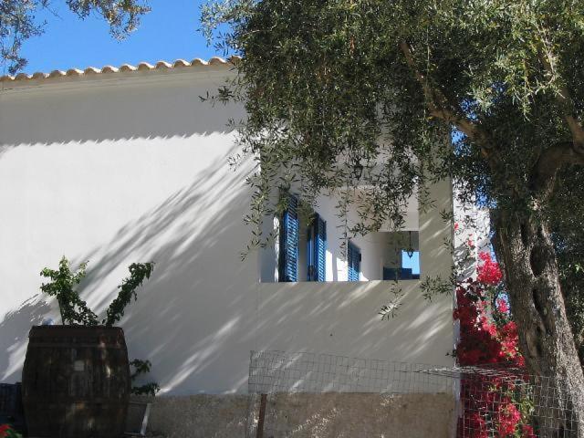 Villa Fiorita photo 2