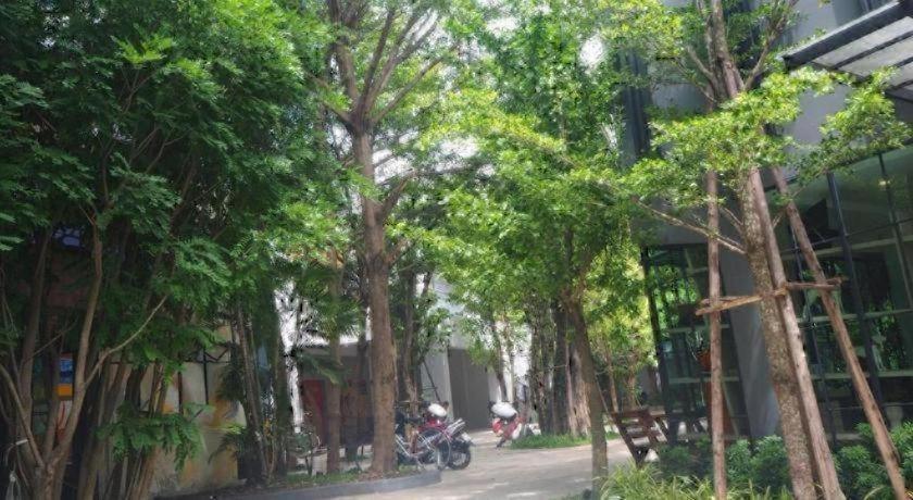 BB House Chaingmai - Tap to explore photos