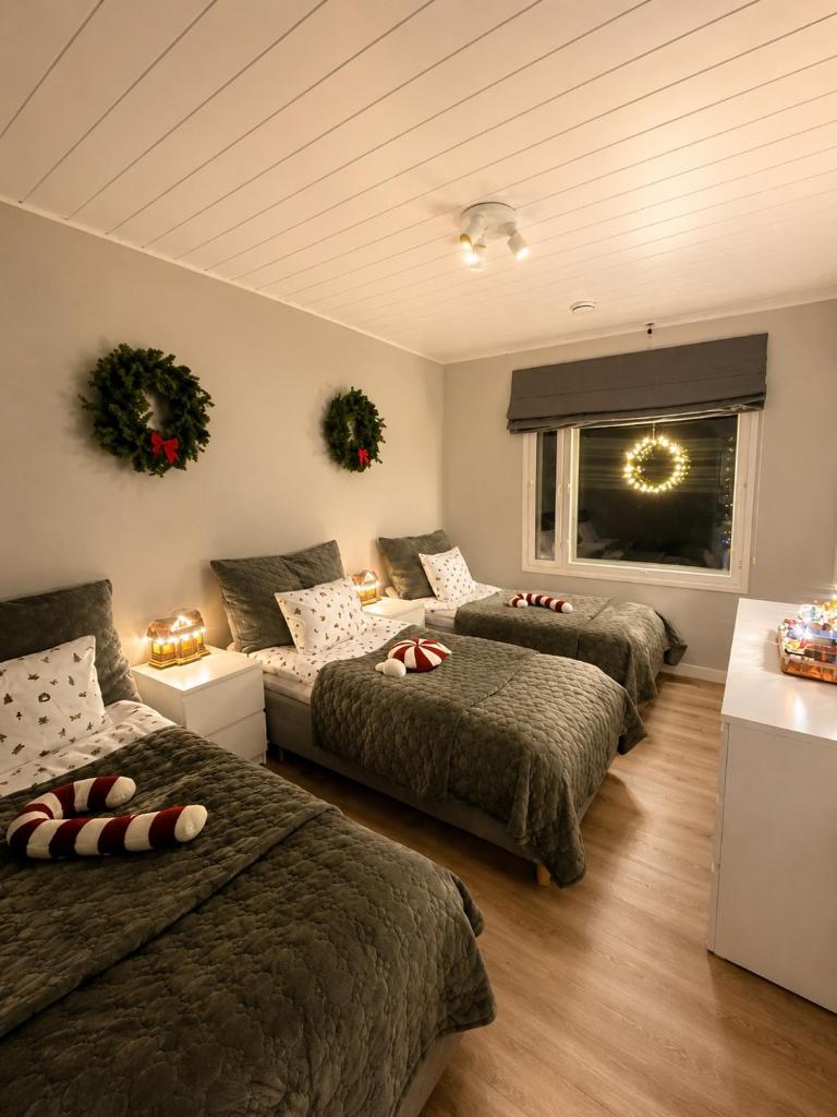 Arctic Circle Home for Winter Holiday - Tap to explore photos