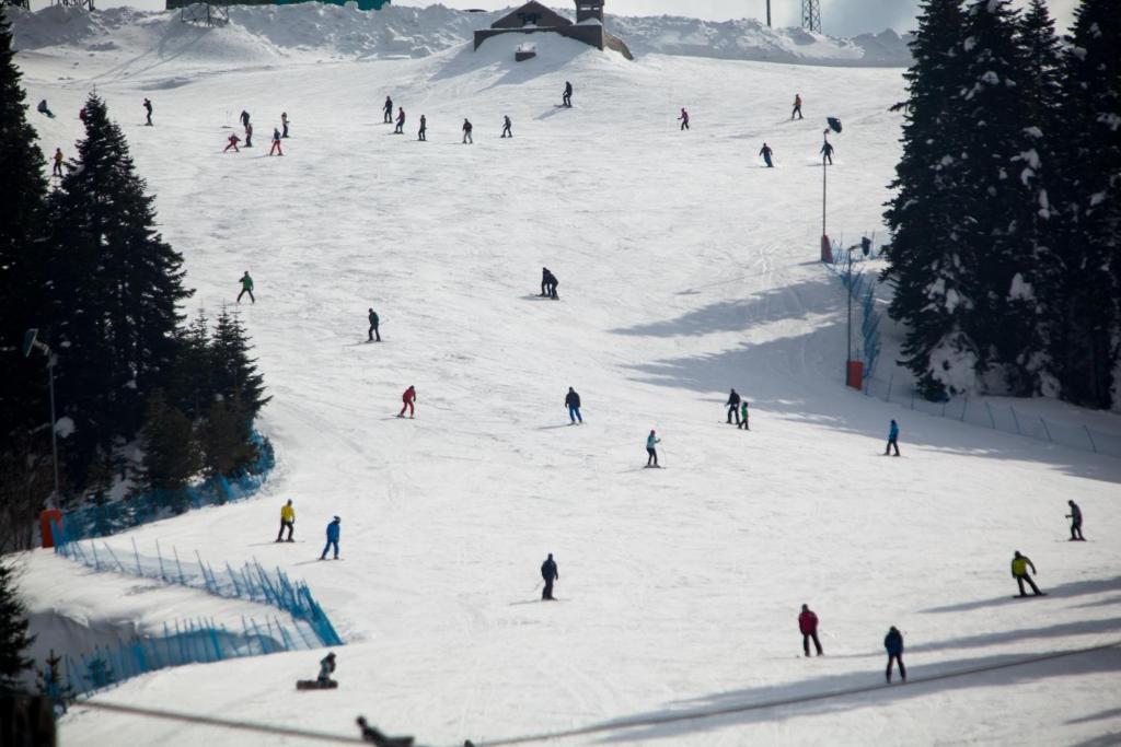 Jura Hotels Ilgaz Mountain Resort photo 4