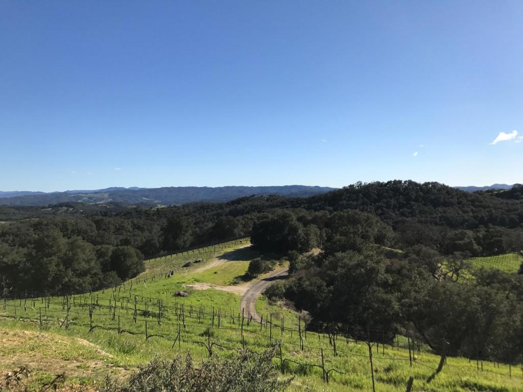 Dunning Vineyards Guest Villa photo 2