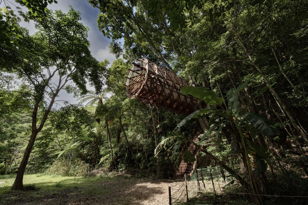 Treeful Treehouse Sustainable Resort Okinawa Room Type - Quadruple Room with Terrace