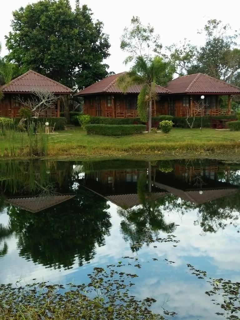 Busai Country View photo 2
