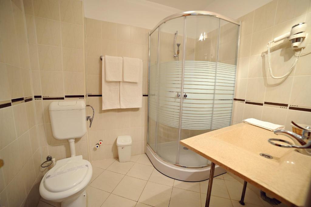 Двухместный (Двухместный номер с 2 отдельными кроватями), Hotel Roberto Slanic Prahova