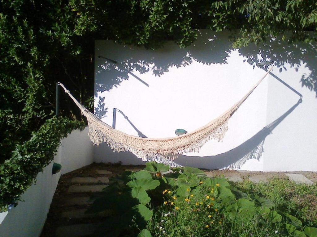 Casa Amarante Porto photo 1