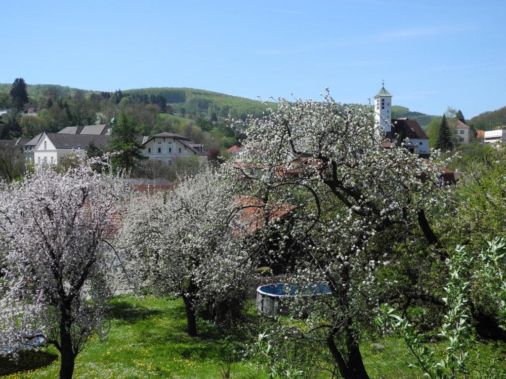 Hotel Rosner Room Type - Double Room with Garden View