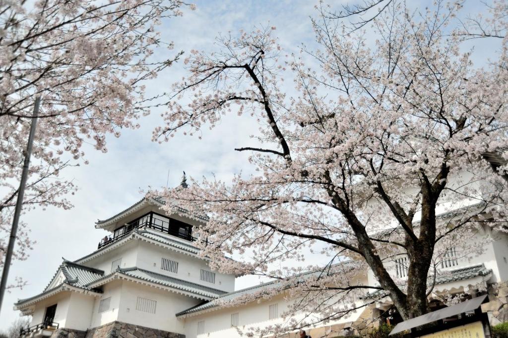 Hotel New Otani Nagaoka photo 2