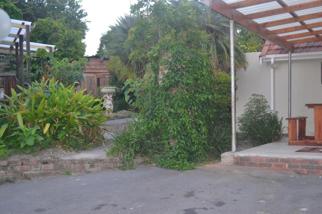 Cycad Lodge photo 2