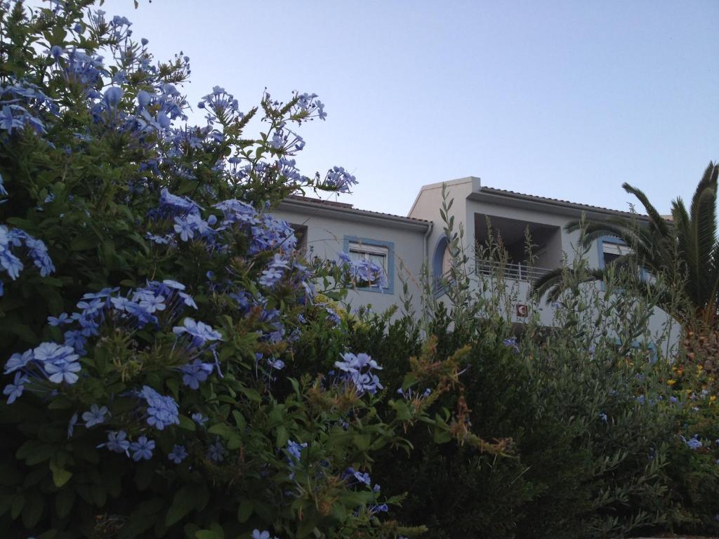 Aigli Apartments photo 4
