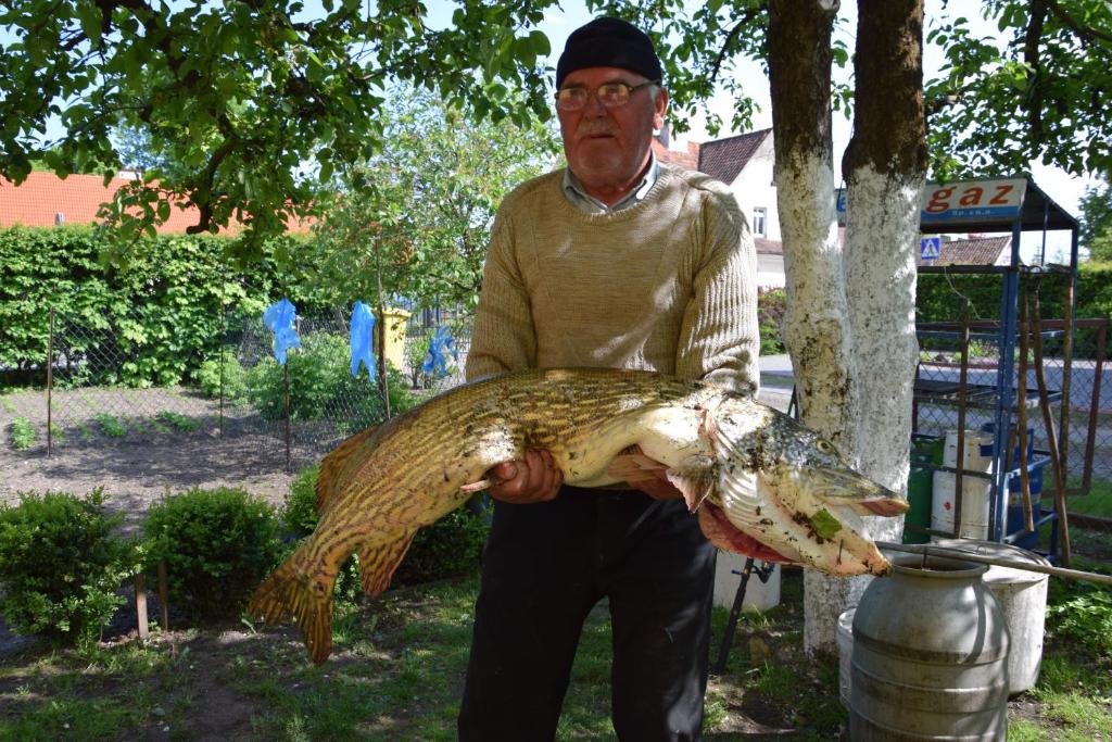 Panterej Pokoje Gościnne photo 1