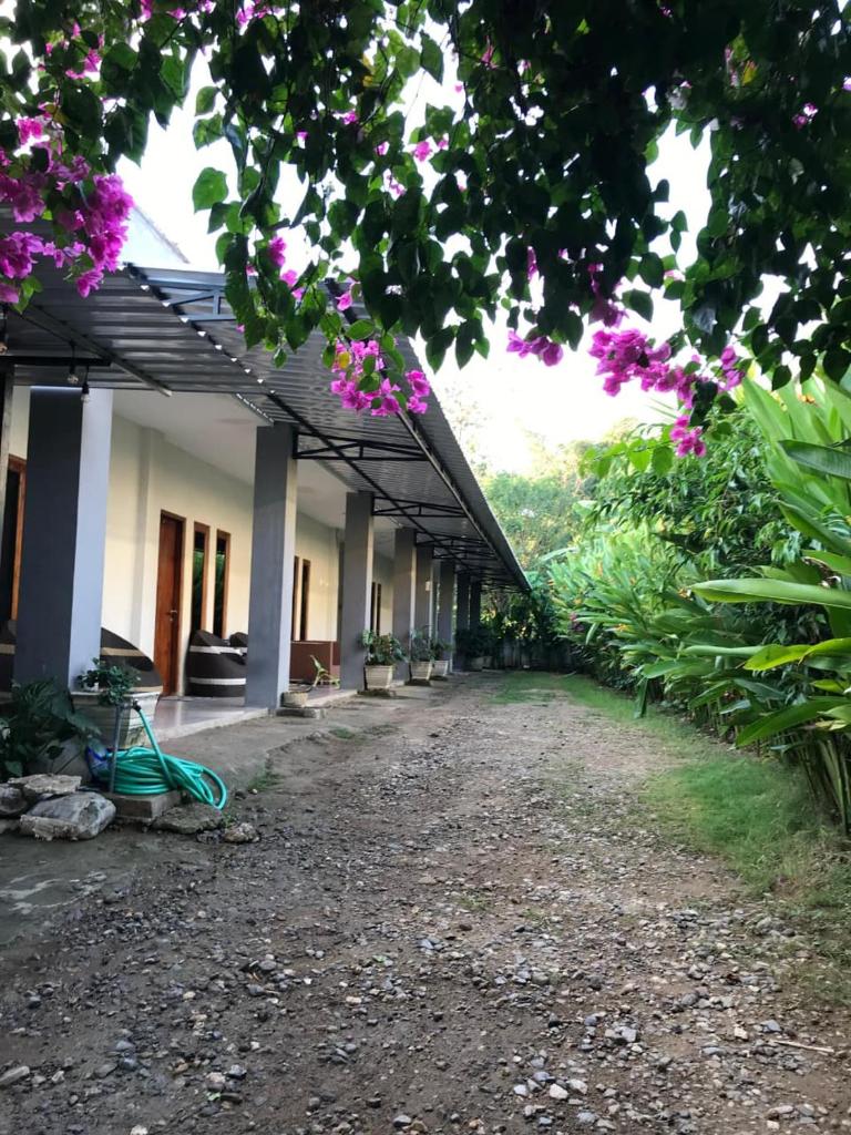 WL GUESTHOUSE