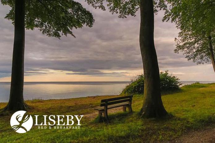 Liseby Bed & Breakfast photo 4