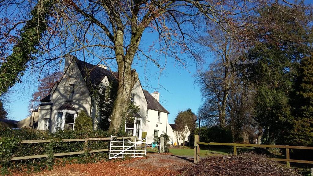 Rings Coach House Retreat photo 3