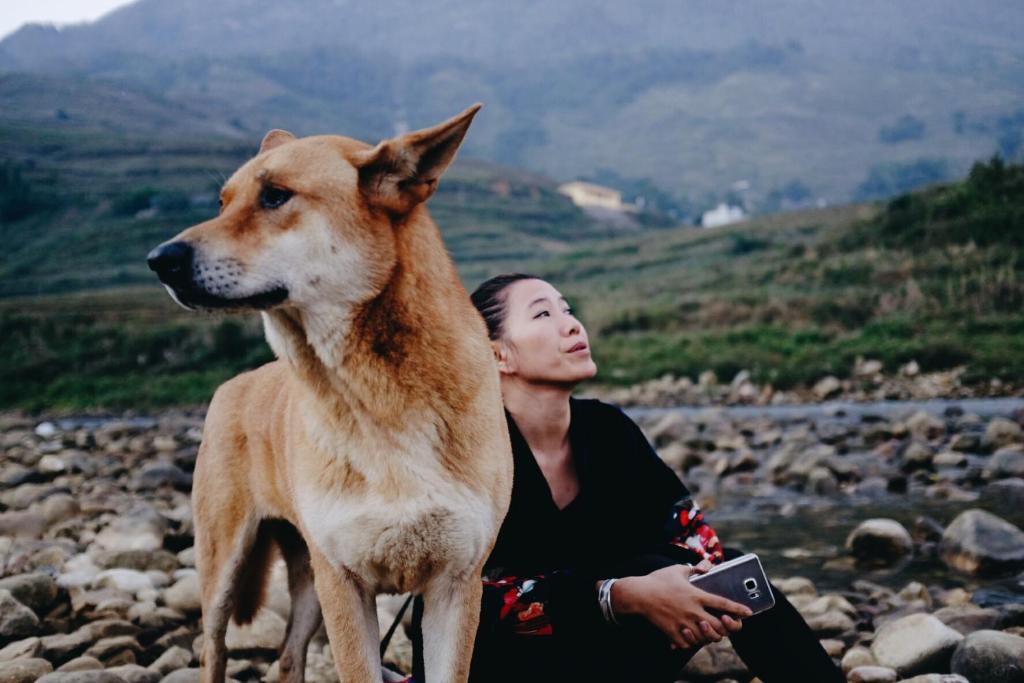 Luckydaisy Buffalo House