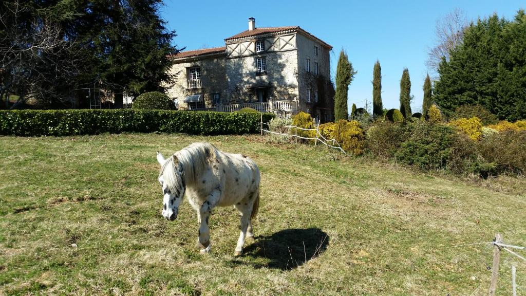 La Ferme de Jeanne photo 1