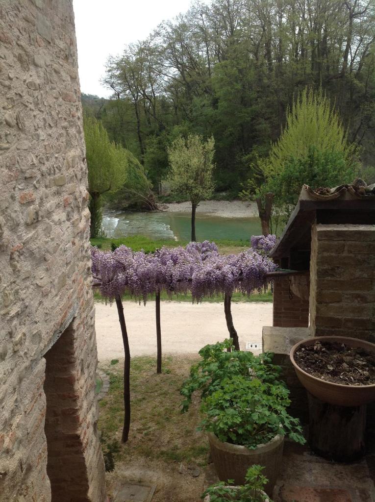 Mulino Della Ricavata photo 2