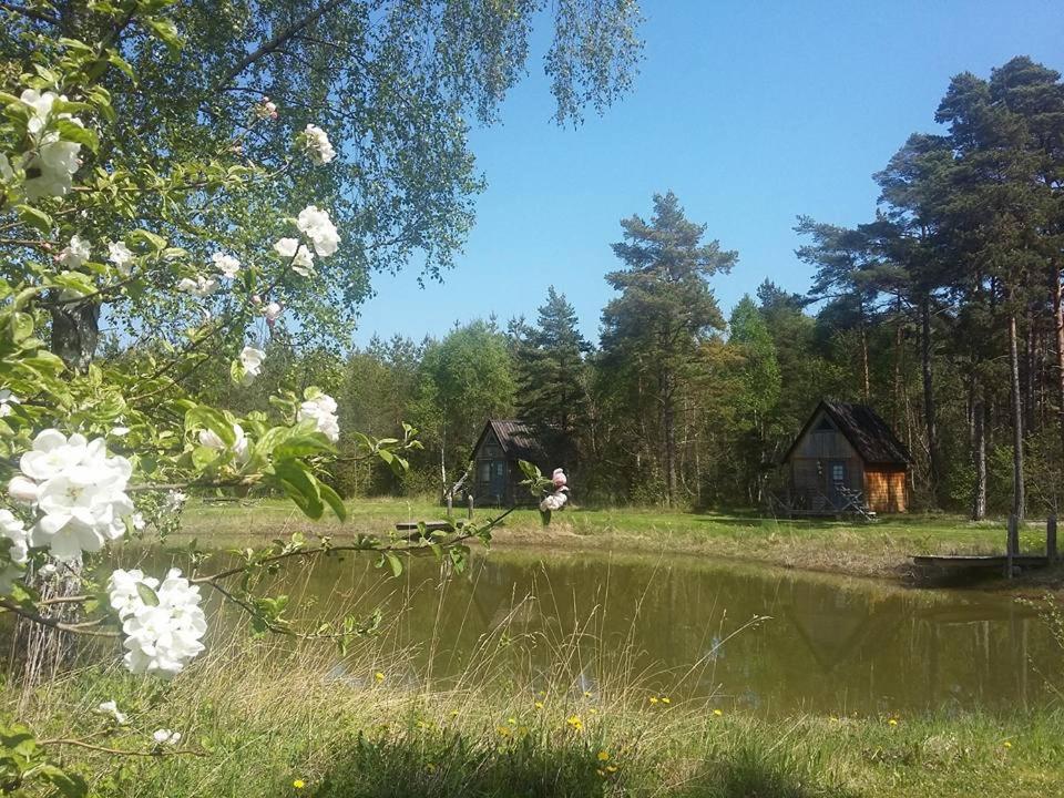Alva Stugby photo 2