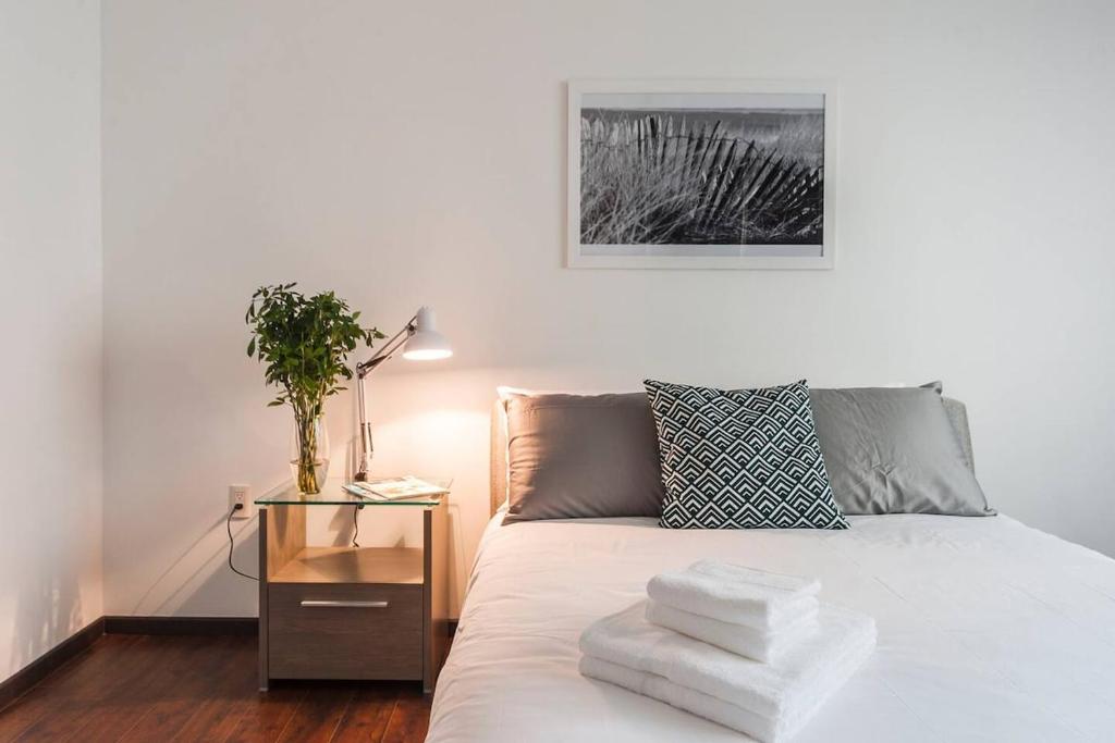 Condesa Residence Campeche 8 Urban Elegance 2BR 1BA Apartment with Large Living Areas