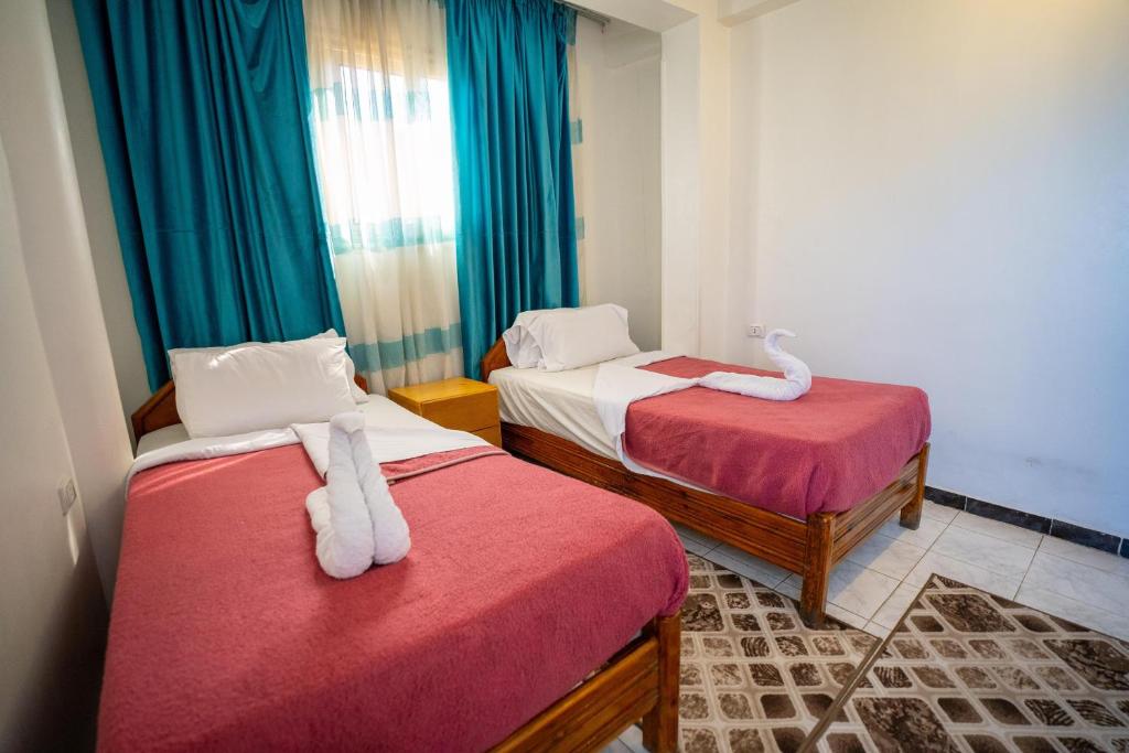 Venus Hostel Room Type - Double or Twin Room