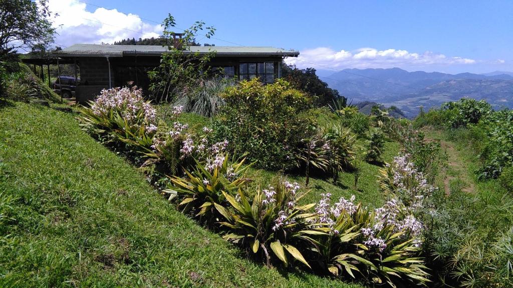 Finca Y Granja Loma Bonita photo 3