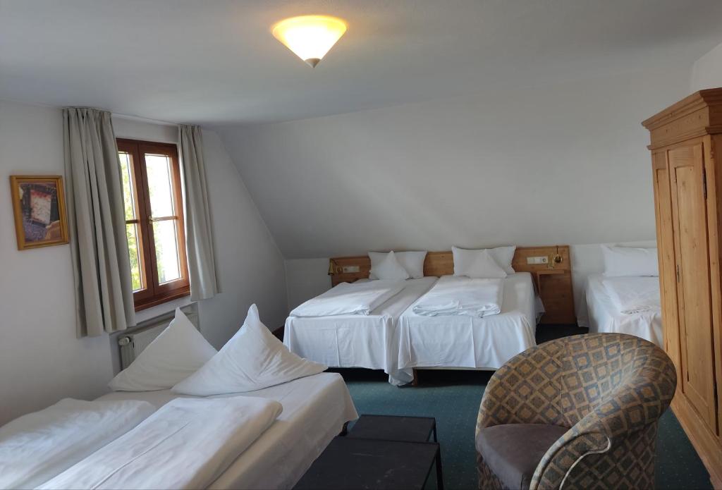 Hotel Restaurant Adler Room Type - Family Room (5 Adults)