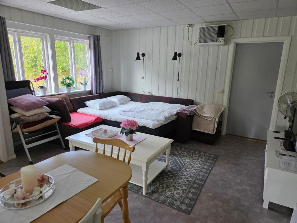 Leilighet i Åmotsdal, Tokke