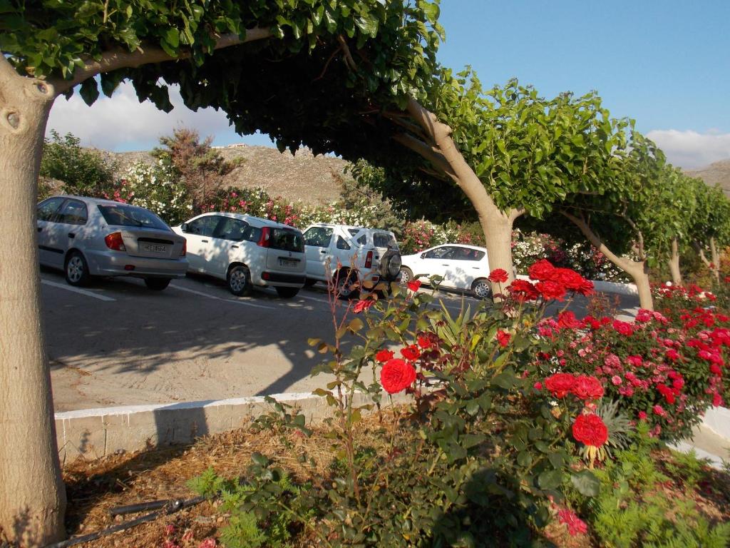 Kato Zakros Palace Apartments - Tap to explore photos