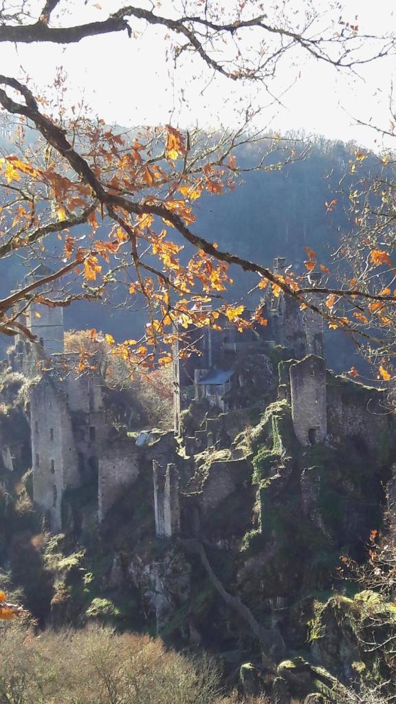 Auberge des Ruines de Merle photo 3