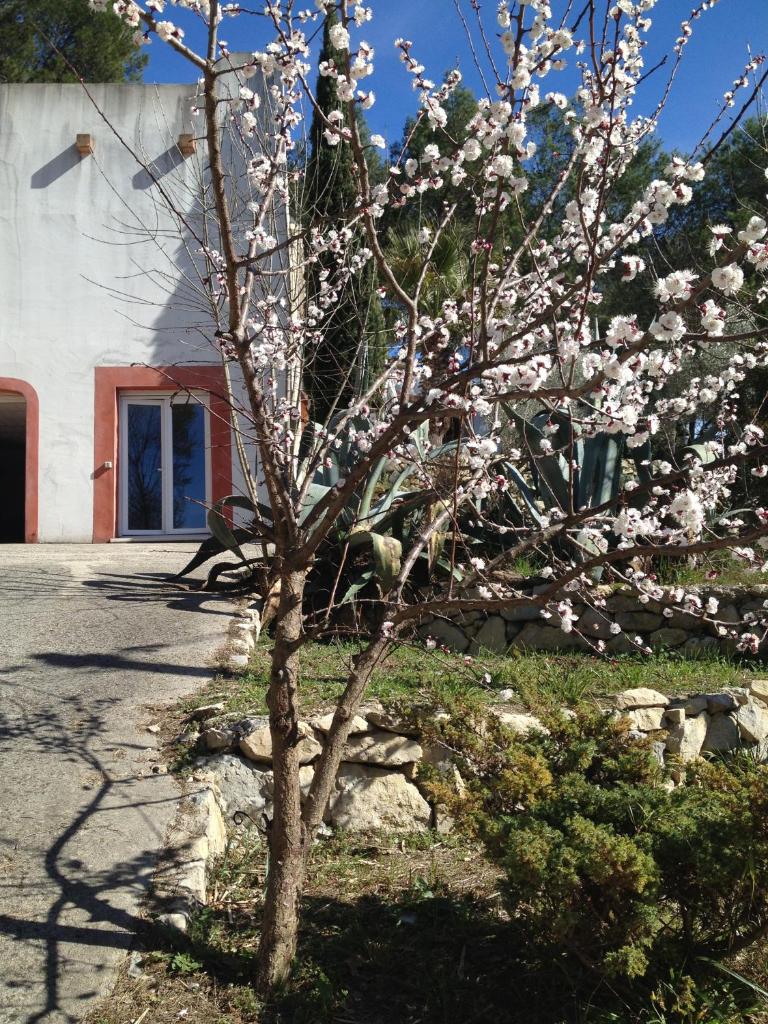 Villa Diego photo 3