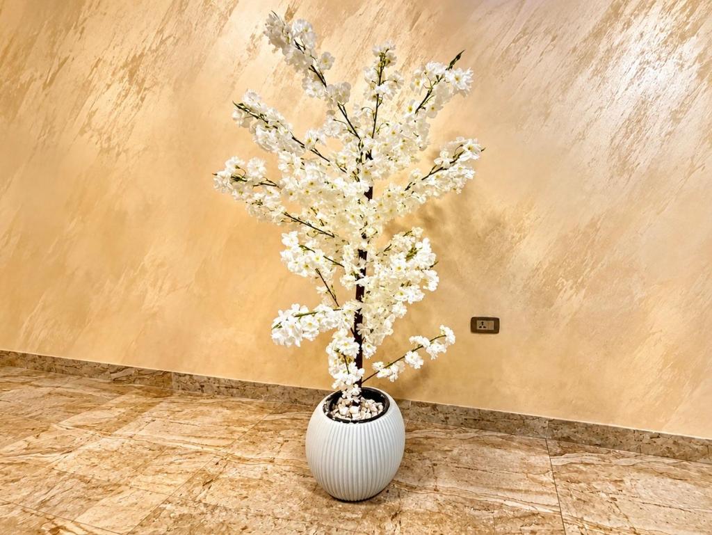 Pyramids Cleopatra Luxurious - Tap to explore photos