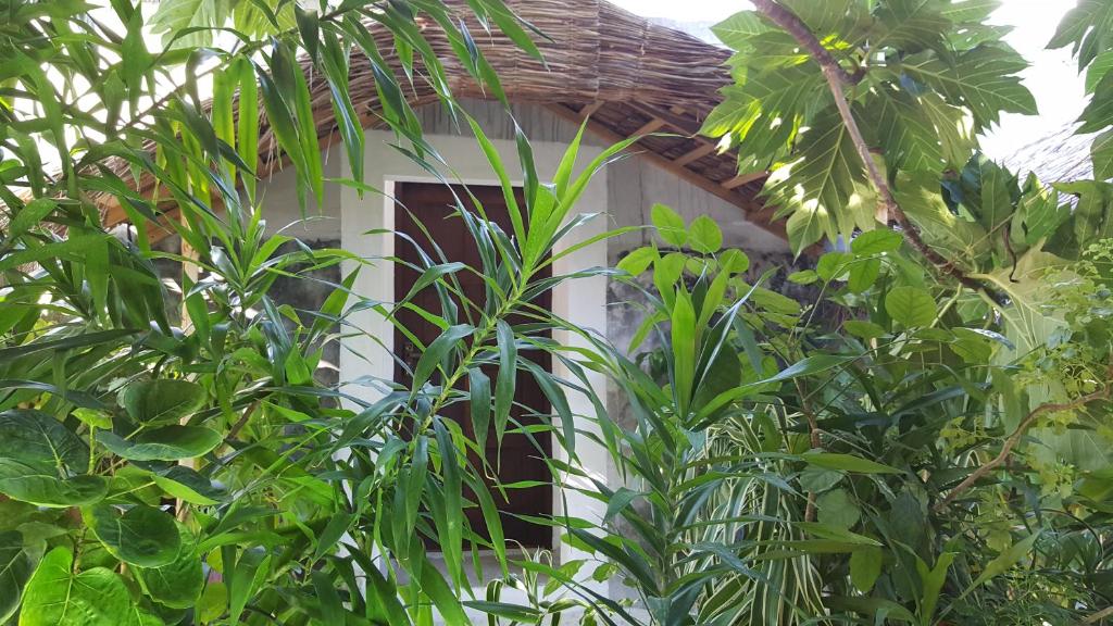 Двухместный (Двухместный номер Делюкс с 1 кроватью), Maafushi View