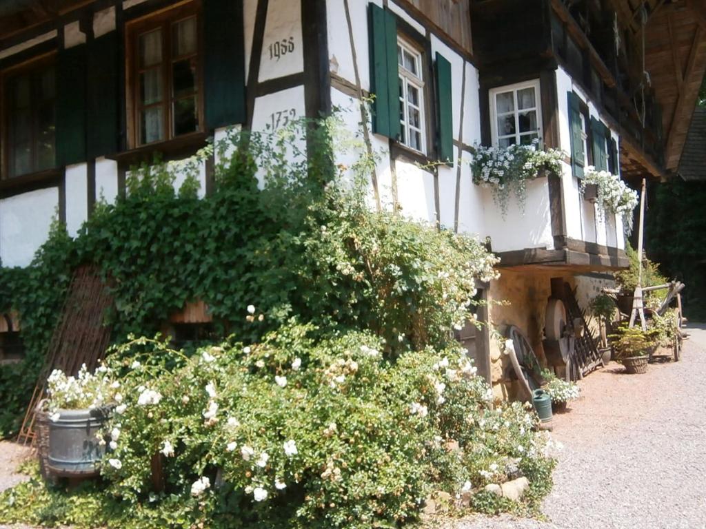 Vier Jahreszeiten Idyll photo 3