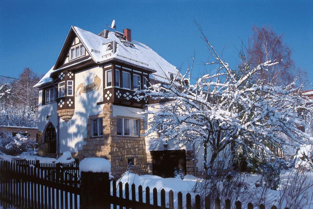 Ferienapartments Gohrisch Villa Schönblick photo 2